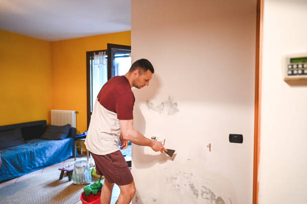Best Black Mold Removal  in Rolla, MO