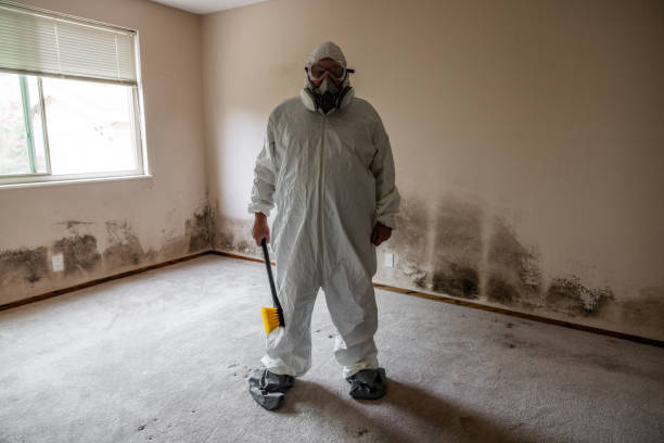 Certified Mold Removal in Rolla, MO
