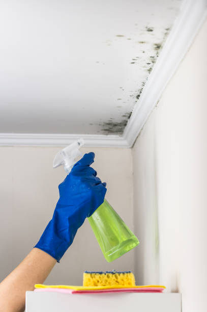 Water Damage Restoration in Rolla, MO